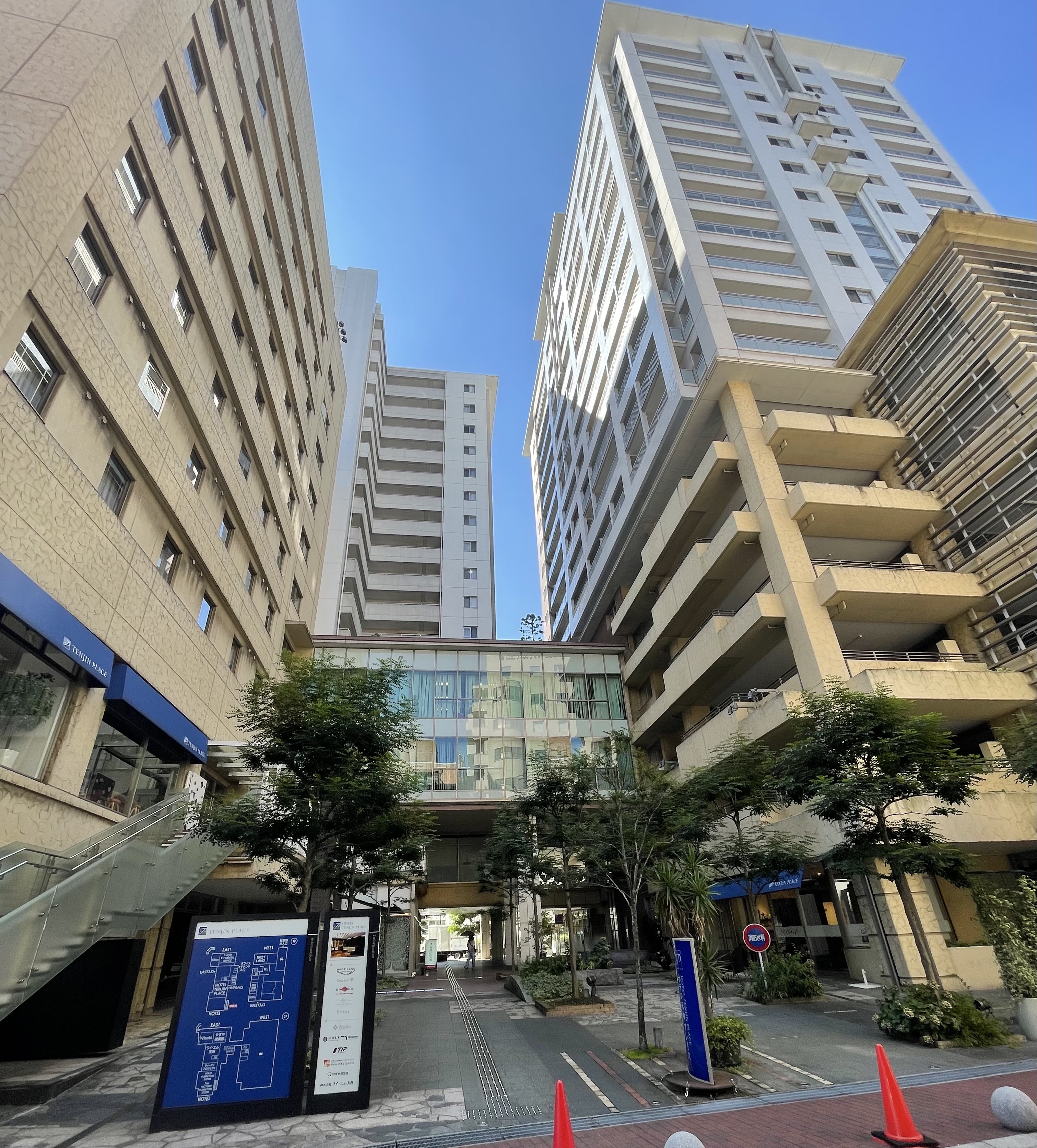 ワイ・エム天神 最新空室状況（2025.11.07)